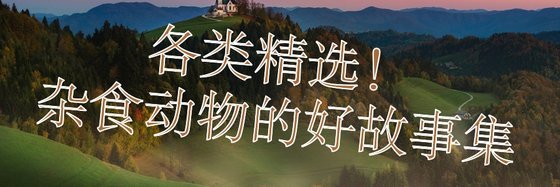 各类精选！杂食动物的好故事集